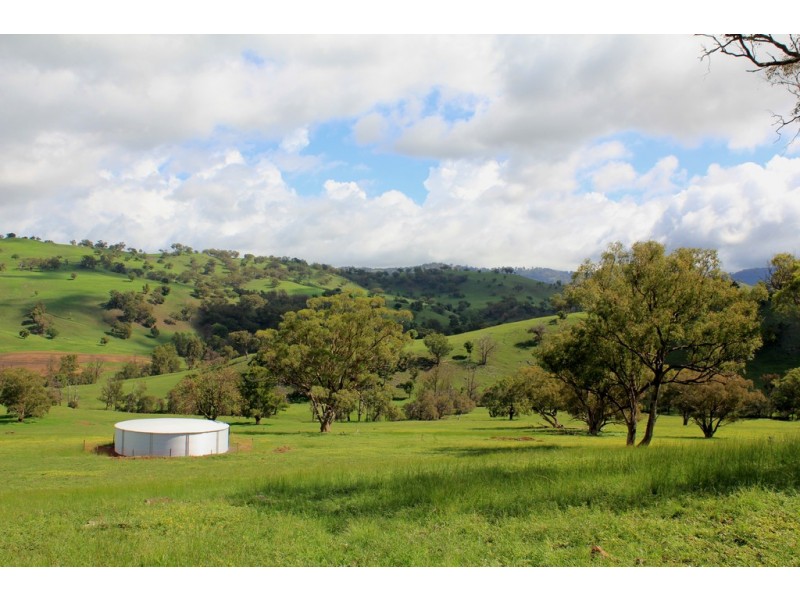 Oakdale 1479 Coolah Creek Road, Coolah NSW 2843