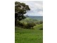 Oakdale 1479 Coolah Creek Road, Coolah NSW 2843