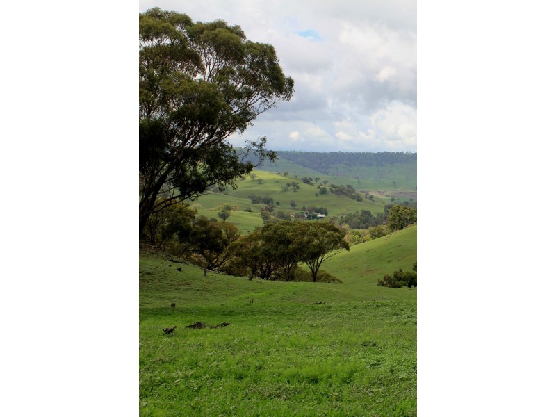 Oakdale 1479 Coolah Creek Road, Coolah NSW 2843