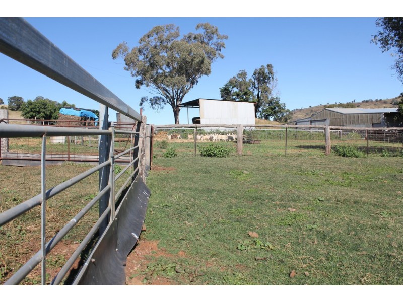 Oakdale 1479 Coolah Creek Road, Coolah NSW 2843