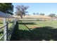 Oakdale 1479 Coolah Creek Road, Coolah NSW 2843