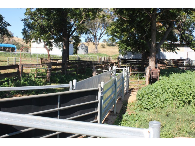 Oakdale 1479 Coolah Creek Road, Coolah NSW 2843