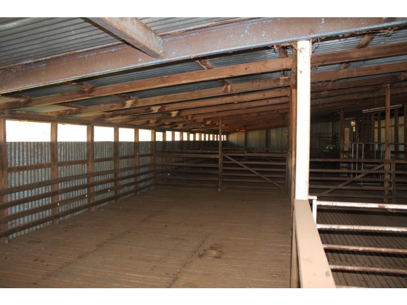 Oakdale 1479 Coolah Creek Road, Coolah NSW 2843