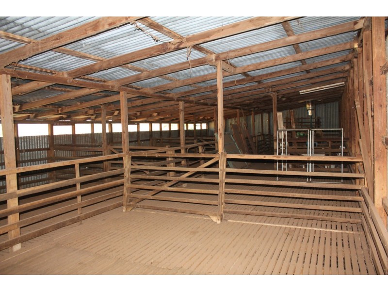 Oakdale 1479 Coolah Creek Road, Coolah NSW 2843