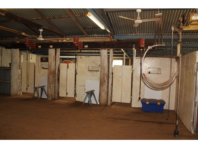 Oakdale 1479 Coolah Creek Road, Coolah NSW 2843