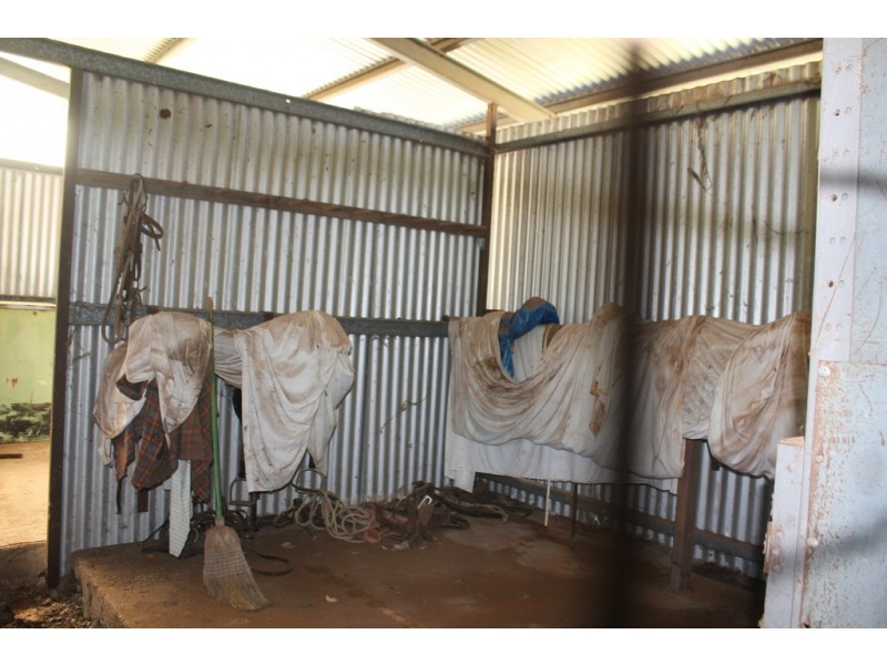 Oakdale 1479 Coolah Creek Road, Coolah NSW 2843