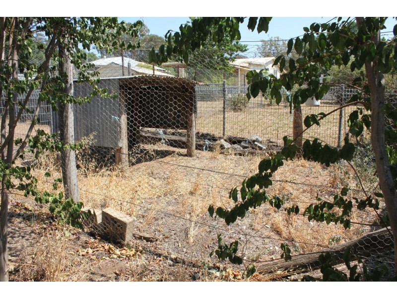 91 Booyamurra Street, Coolah NSW 2843