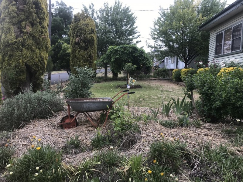 91 Booyamurra Street, Coolah NSW 2843