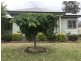 91 Booyamurra Street, Coolah NSW 2843