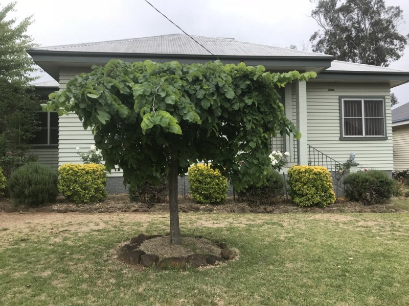 91 Booyamurra Street, Coolah NSW 2843