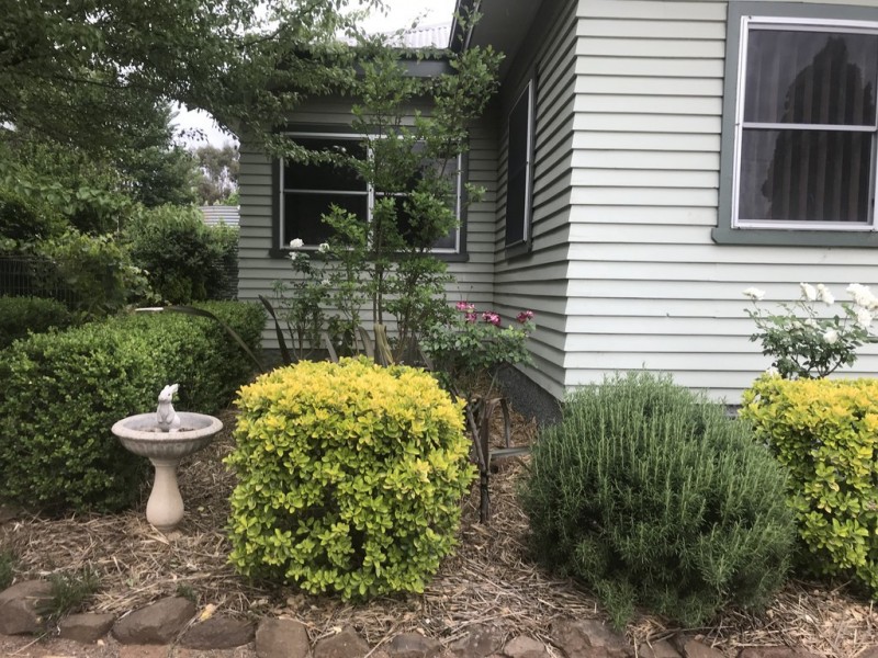 91 Booyamurra Street, Coolah NSW 2843