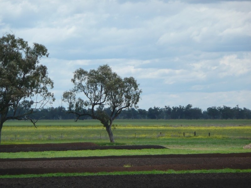 941 Normans Rd, Carroll NSW 2340