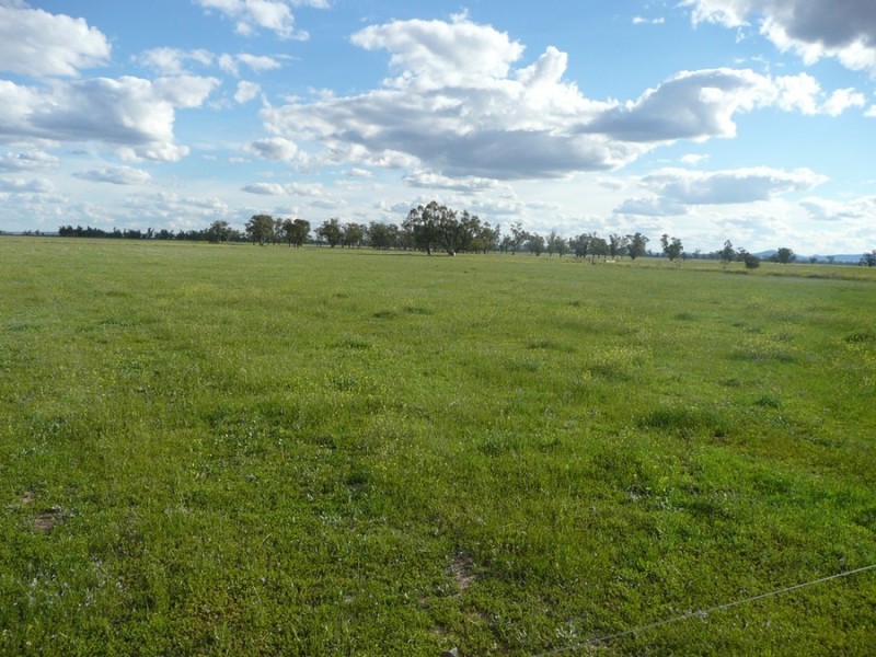 941 Normans Rd, Carroll NSW 2340