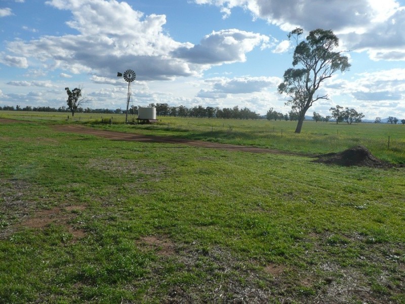 941 Normans Rd, Carroll NSW 2340