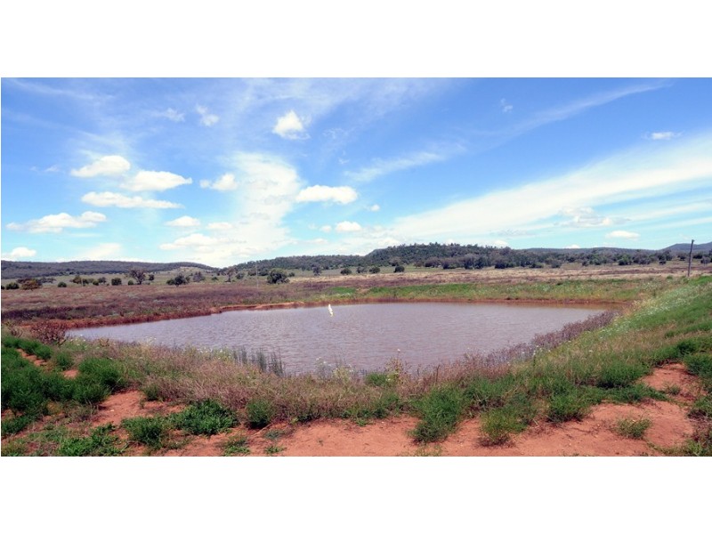 “SugarLoaf” Oxley Hwy, Gunnedah NSW 2380