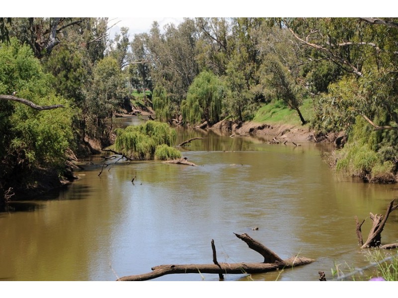 Jacobs Kamilaroi Hwy, Gunnedah NSW 2380