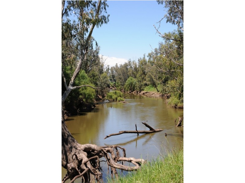 Jacobs Kamilaroi Hwy, Gunnedah NSW 2380