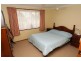 55 Herbert St, Gunnedah NSW 2380