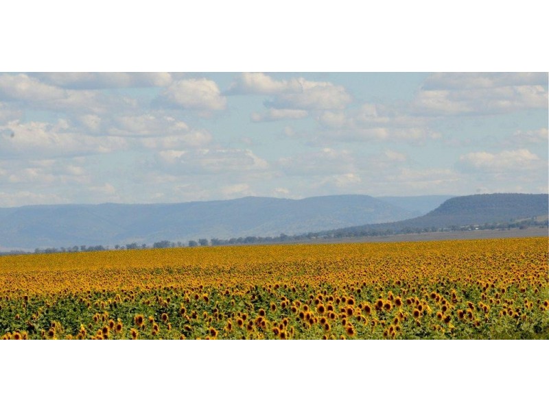 1622 Goran Lake Road, Curlewis NSW 2381