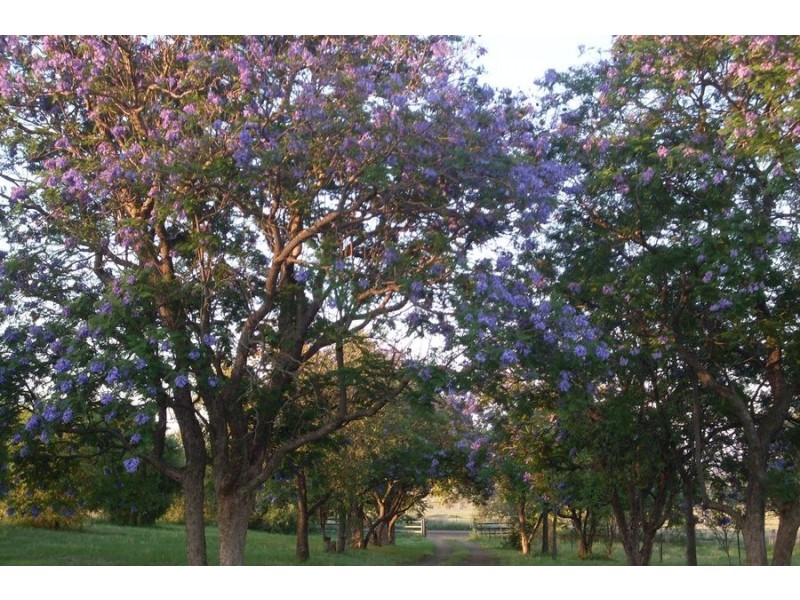 1204 Prairies Rd, Gunnedah NSW 2380