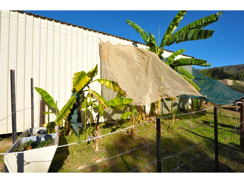 28 Carlyon Avenue, Gunnedah NSW 2380