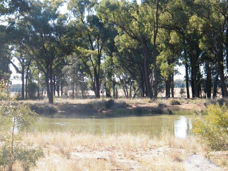 371 Howes Hill Road, Gunnedah NSW 2380