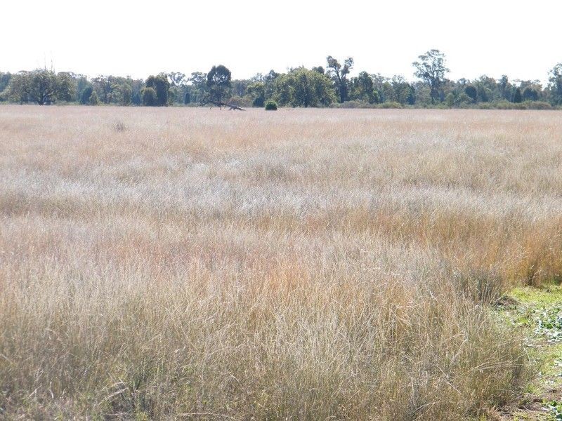 371 Howes Hill Road, Gunnedah NSW 2380