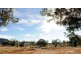 Poplar Grove Wandobah Rd, Gunnedah NSW 2380