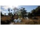 Poplar Grove Wandobah Rd, Gunnedah NSW 2380