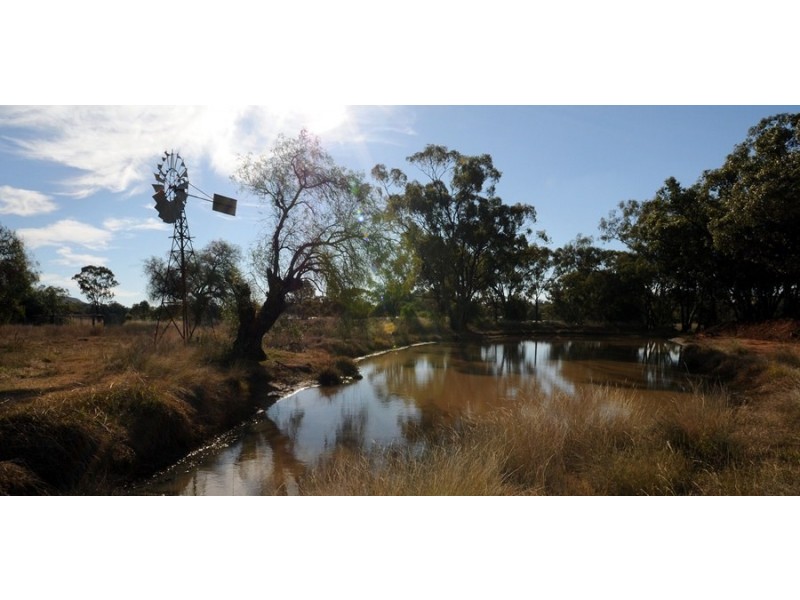 Poplar Grove Wandobah Rd, Gunnedah NSW 2380