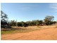 Poplar Grove Wandobah Rd, Gunnedah NSW 2380