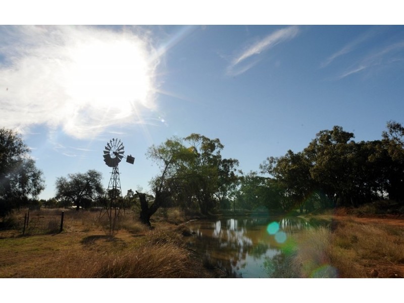 Poplar Grove Wandobah Rd, Gunnedah NSW 2380