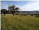 3019 Wyuna Road, Mullaley NSW 2379