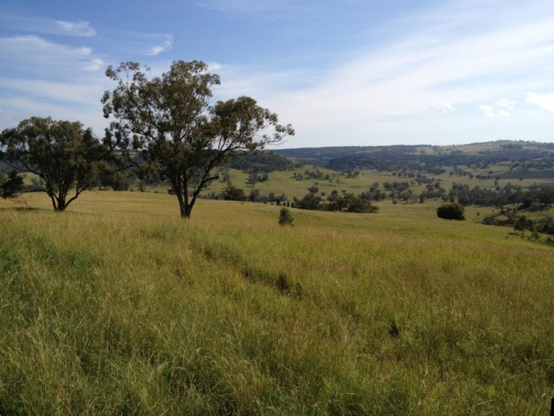 3019 Wyuna Road, Mullaley NSW 2379