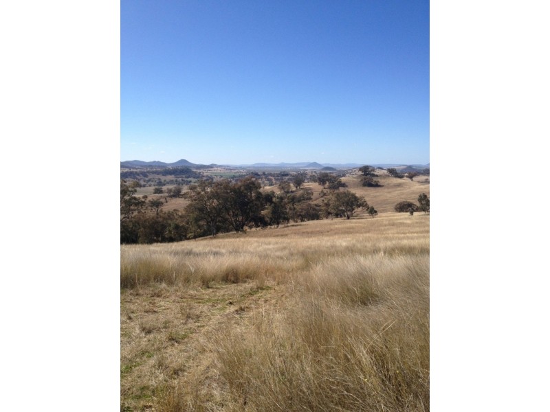 3019 Wyuna Road, Mullaley NSW 2379