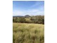 3019 Wyuna Road, Mullaley NSW 2379