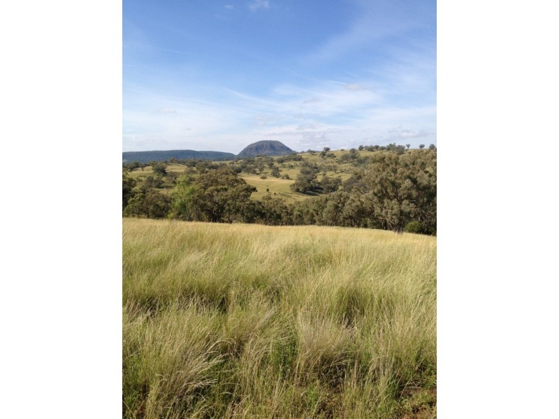 3019 Wyuna Road, Mullaley NSW 2379
