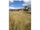 3019 Wyuna Road, Mullaley NSW 2379