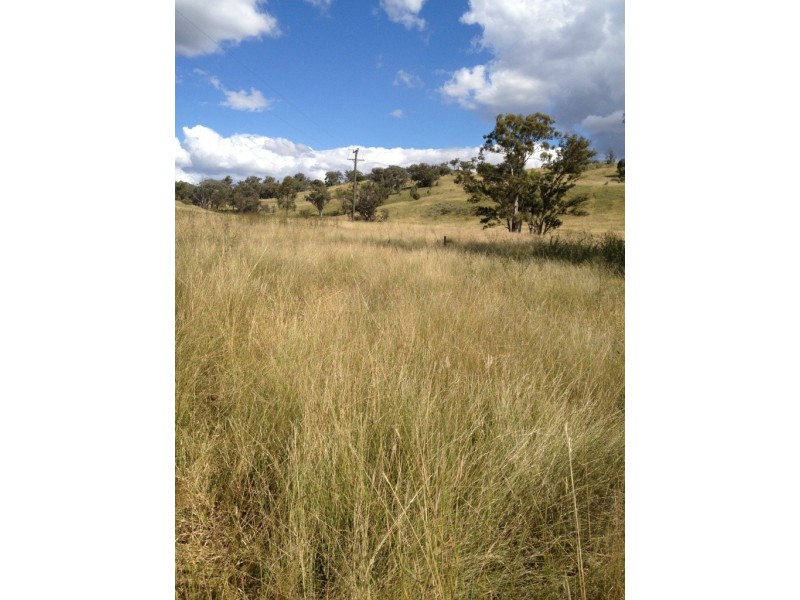 3019 Wyuna Road, Mullaley NSW 2379