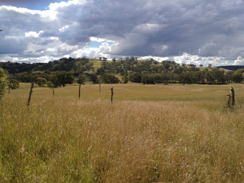 3019 Wyuna Road, Mullaley NSW 2379
