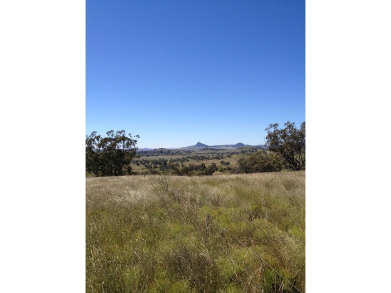 3019 Wyuna Road, Mullaley NSW 2379