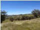 3019 Wyuna Road, Mullaley NSW 2379