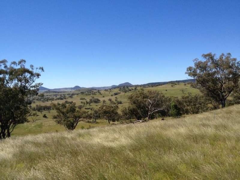 3019 Wyuna Road, Mullaley NSW 2379