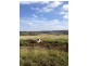 3019 Wyuna Road, Mullaley NSW 2379