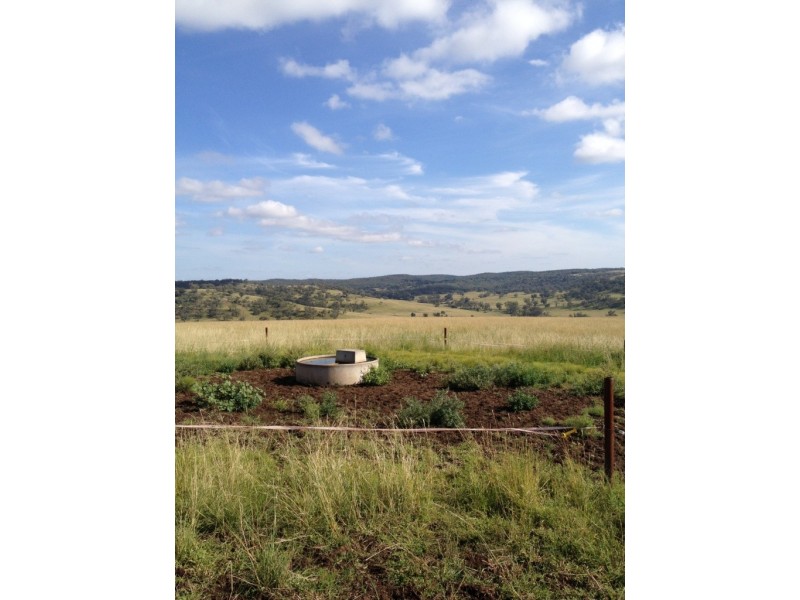 3019 Wyuna Road, Mullaley NSW 2379