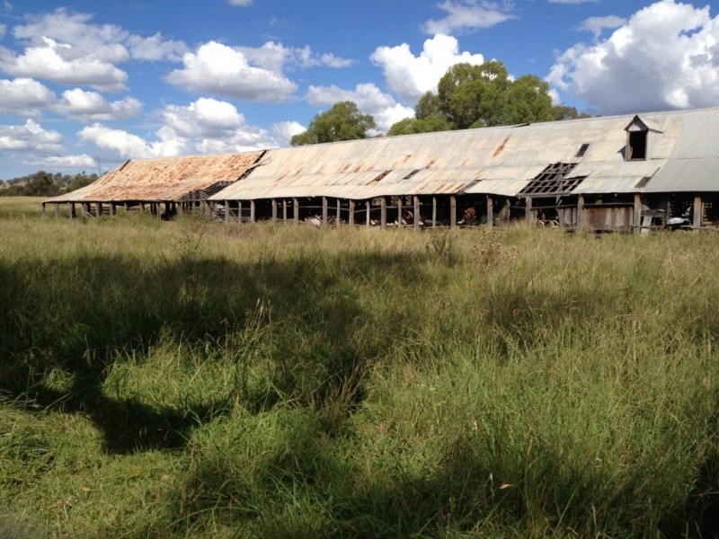 3019 Wyuna Road, Mullaley NSW 2379