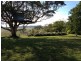 3019 Wyuna Road, Mullaley NSW 2379