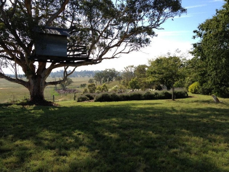 3019 Wyuna Road, Mullaley NSW 2379