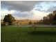 3019 Wyuna Road, Mullaley NSW 2379