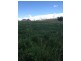 3019 Wyuna Road, Mullaley NSW 2379